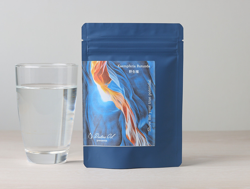 定期購入 カンフェリア【野生種ロットンダ・栽培種アングスティフォリア】