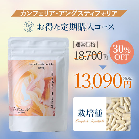 定期購入 カンフェリア【野生種ロットンダ・栽培種アングスティフォリア】